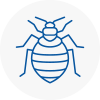 Bed Bug Extermination In Surrey