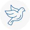 Bird Prevention Surrey