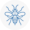 Surrey Hornet Nest Removals