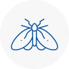 Moth Control Specialists In Surrey