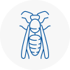 Surrey Wasp Nest Removal